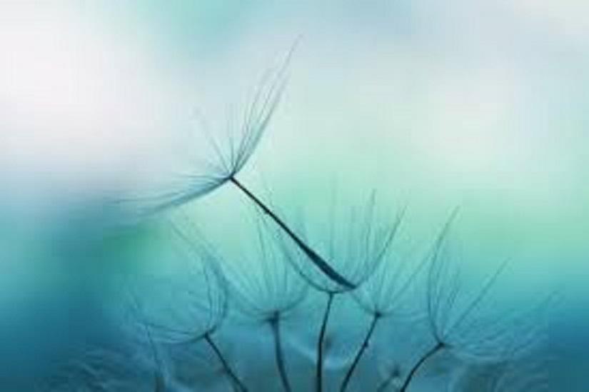 Espoir